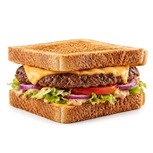 Toast H1